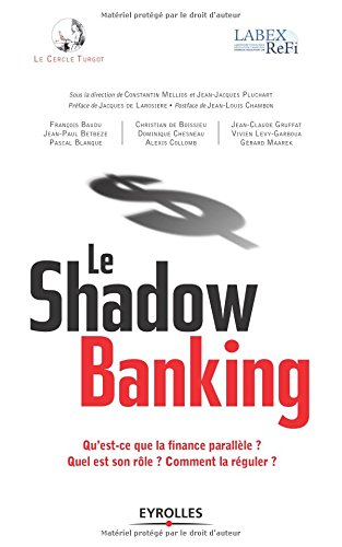 Le shadow banking : qu'est-ce que la finance parallèle ? Quel est son rôle ? Comment la réguler ?