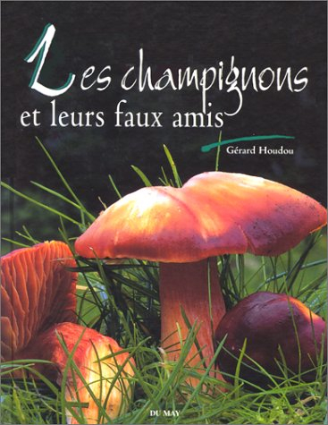 Les champignons et leurs faux amis