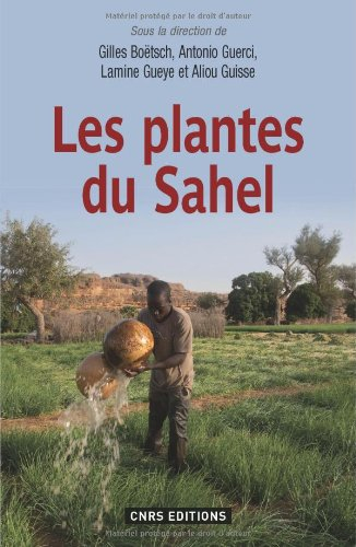 Les plantes du Sahel : usages et enjeux sociaux