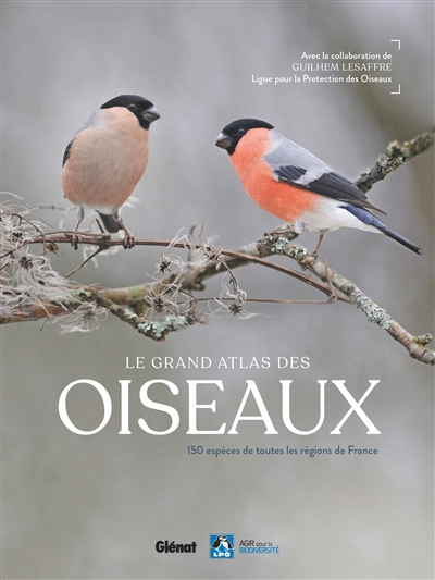 Le grand atlas des oiseaux : 150 espèces de toutes les régions de France