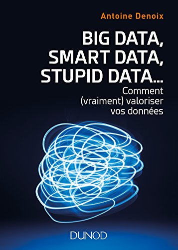 Big data, smart data, stupid data... : comment vraiment valoriser vos données : petit manuel à l'usa