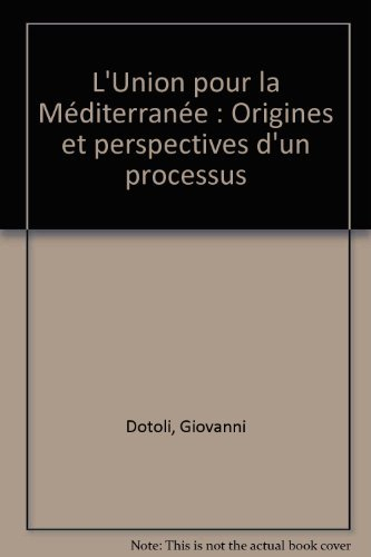 L'Union pour la Méditerranée : origines et perspectives d'un processus