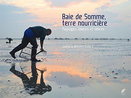Baie de Somme, terre nourricière : paysages, labeurs et délices