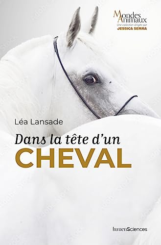 Dans la tête d'un cheval