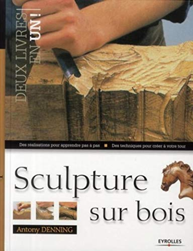 Sculpture sur bois : des réalisations pour apprendre pas à pas, des techniques pour créer à votre to