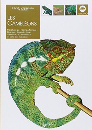 Les caméléons