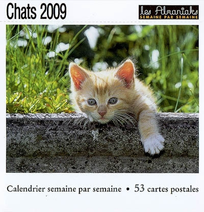 Chats 2009 : calendrier semaine par semaine : 53 cartes postales
