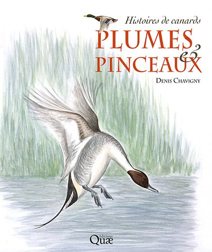 Plumes & pinceaux : histoires de canards