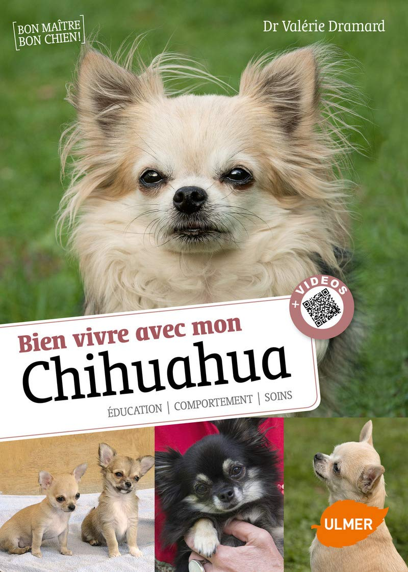 Bien vivre avec mon chihuahua : éducation, comportement, soins