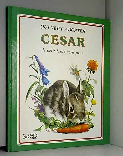 César, le petit lapin sans peur