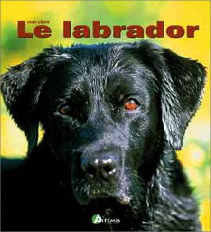 Le labrador