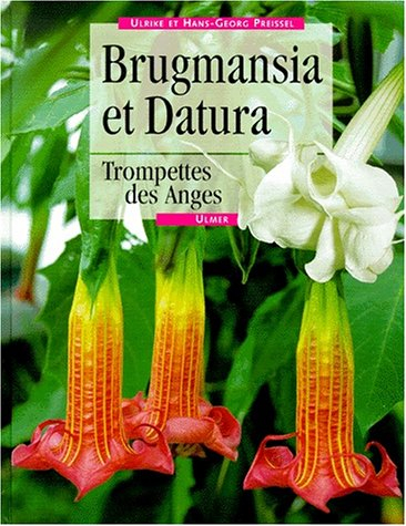 Brugmansia et datura : trompettes des anges