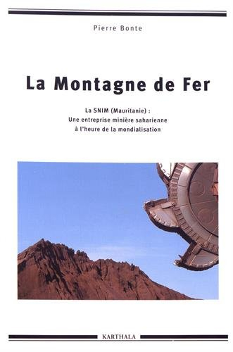 La Montagne de fer : la SNIM (Mauritanie) : une entreprise minière saharienne à l'heure de la mondia