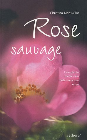 Rose sauvage : une plante médicinale métamorphose le feu