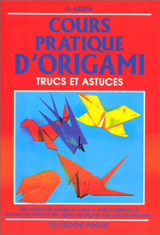 cours pratique d'origamie [i.e. origami]