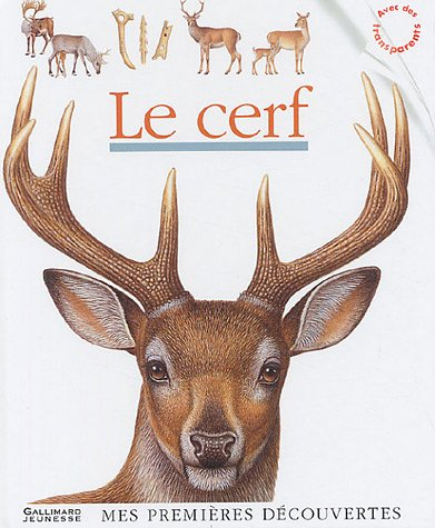 Le cerf