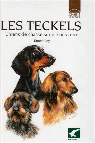 Les teckels : chiens de chasse sur et sous terre