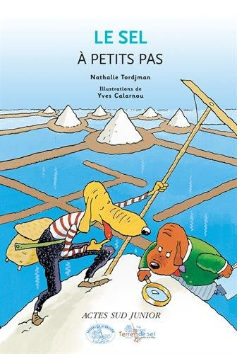 Le sel à petits pas