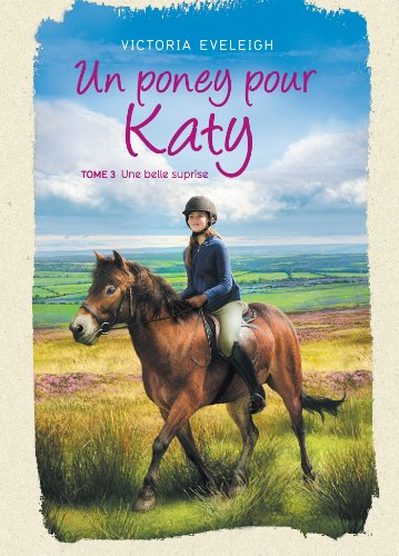 Un poney pour Katy. Vol. 3. Une belle surprise