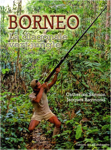 Bornéo : la diagonale vert jungle