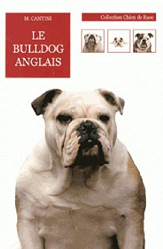 Le bulldog anglais