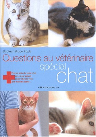 Questions au vétérinaire : spécial chat