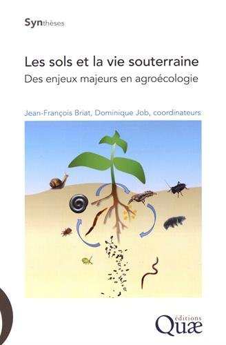Les sols et la vie souterraine : des enjeux majeurs en agroécologie