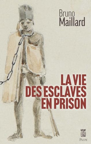 La vie des esclaves en prison : La Réunion 1767-1848