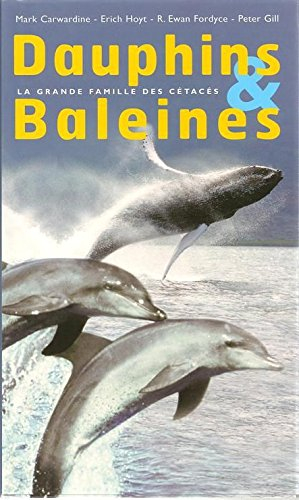 dauphins & baleines