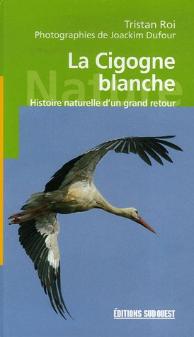 La cigogne blanche : histoire naturelle d'un grand retour