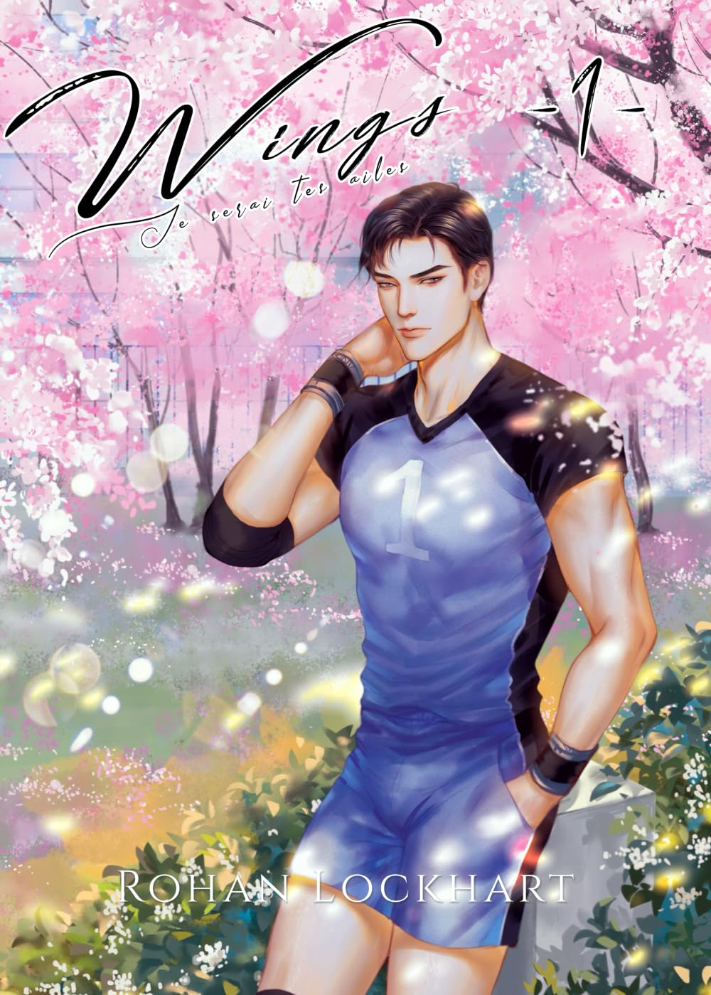 Wings #1: Romance Sportive MM