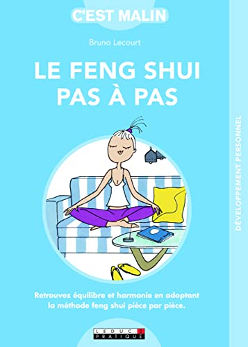 Le feng shui pas à pas : retrouvez équilibre et harmonie en adoptant la méthode feng shui pièce par 