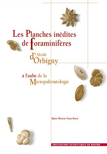 Les planches inédites de foraminifères d'Alcide d'Orbigny : à l'aube de la micropaléontologie. The u