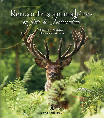 Rencontres animalières en forêt de Fontainebleau
