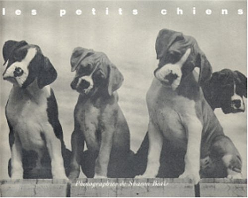 Les petits chiens