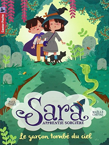 Sara apprentie sorcière. Vol. 1. Le garçon tombé du ciel
