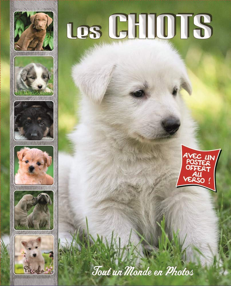 Les chiots