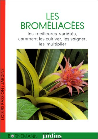 Les Broméliacées : les meilleures variétés, comment les cultiver, les soigner, les multiplier