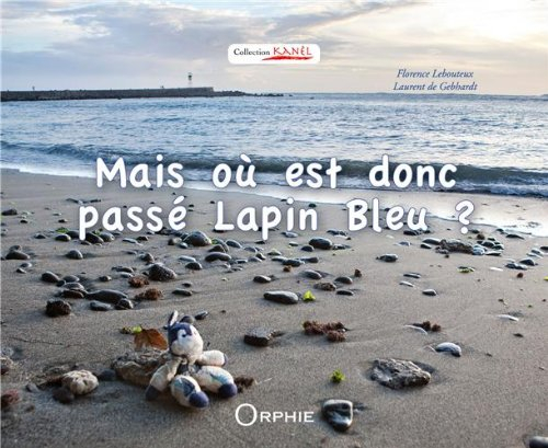Mais où est donc passé Lapin Bleu ?
