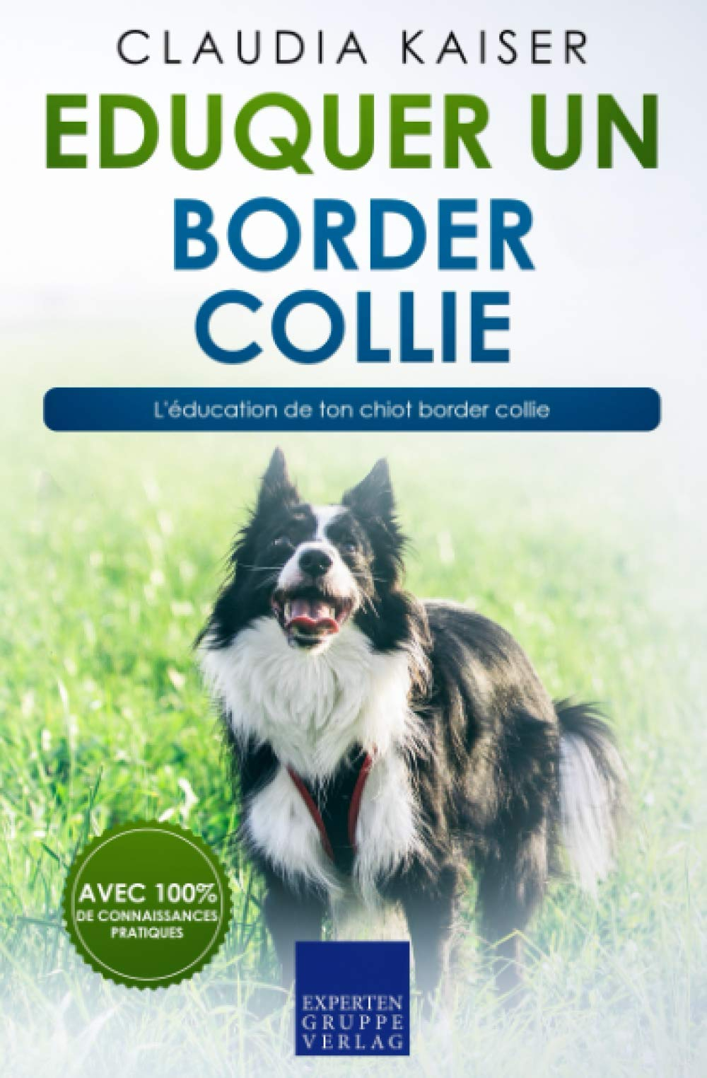 Eduquer un border collie: L'éducation de ton chiot border collie
