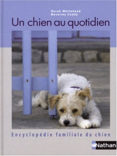 Un chien au quotidien