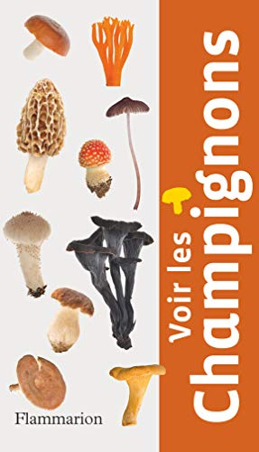 Voir les champignons