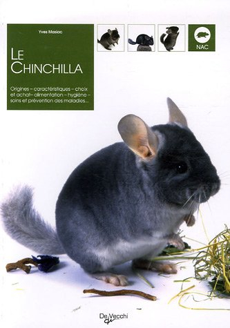 Le chinchilla : origines, caractéristiques, choix et achat, alimentation, hygiène, soins et préventi