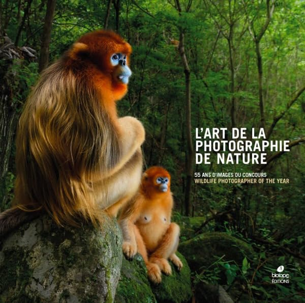 L'art de la photographie de nature : 55 ans d'images du concours Wildlife Photographer of the year