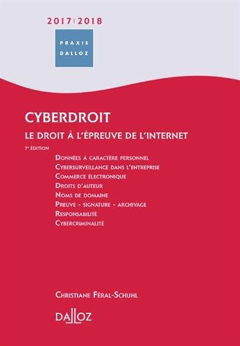Cyberdroit 2018-2019 : le droit à l'épreuve de l'Internet