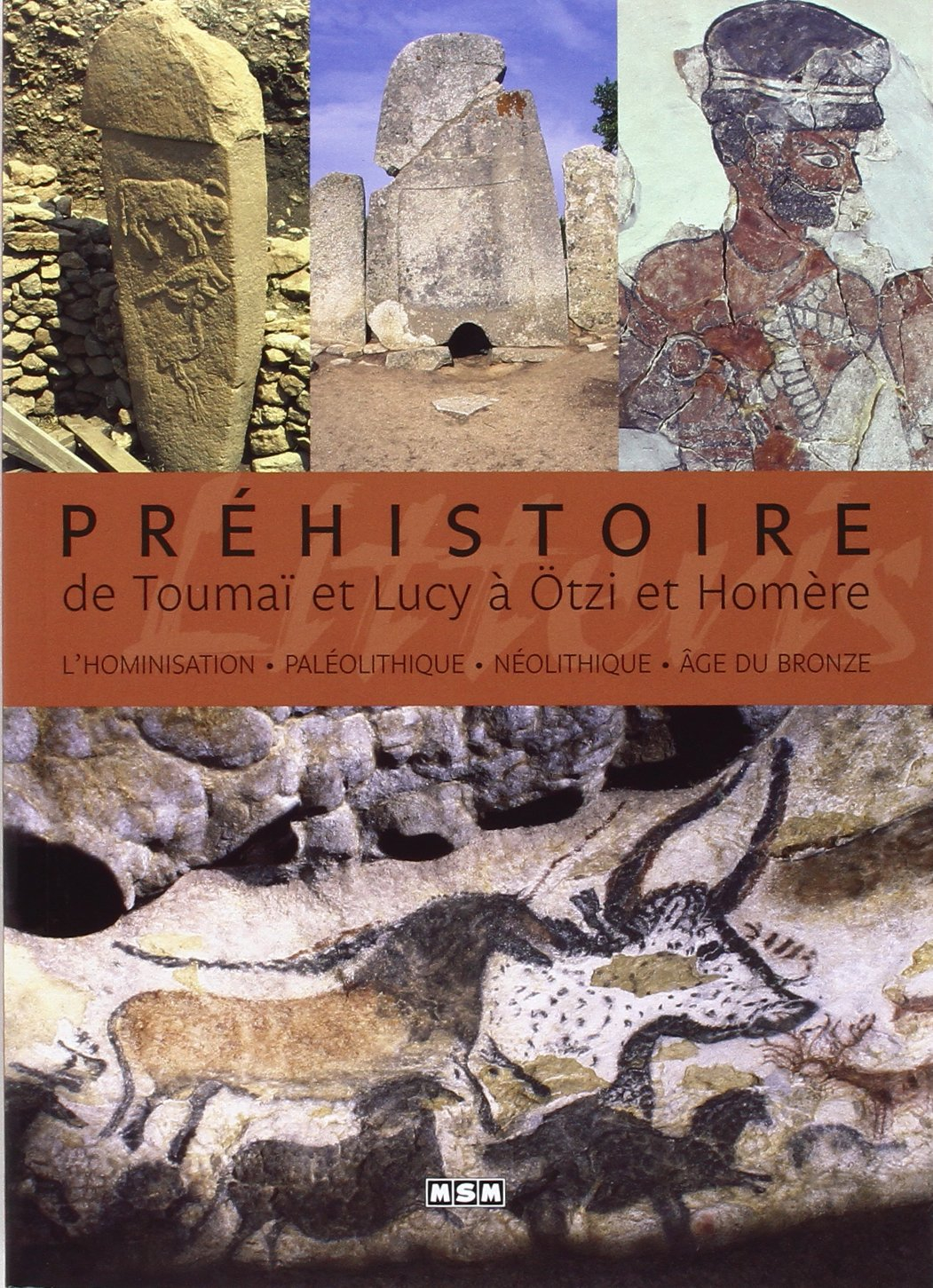 Préhistoire. De Toumaï et Lucy à Otzi et Homère : l'hominisation, paléolithique, néolithique, âge du