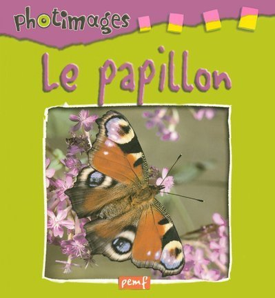 Le papillon - Paul Starosta