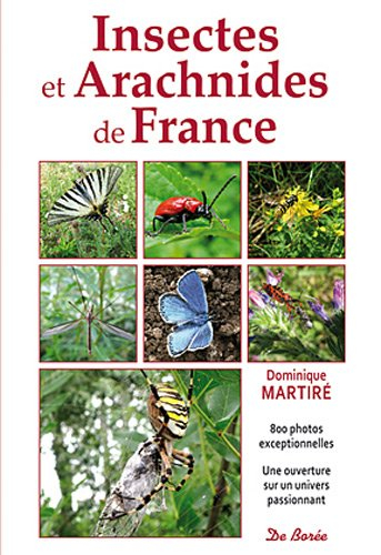 Insectes et arachnides de France