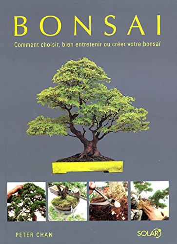 Bonsaï : comment choisir, bien entretenir ou créer votre bonsaï