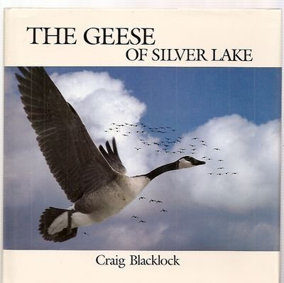 the geese of silver lake